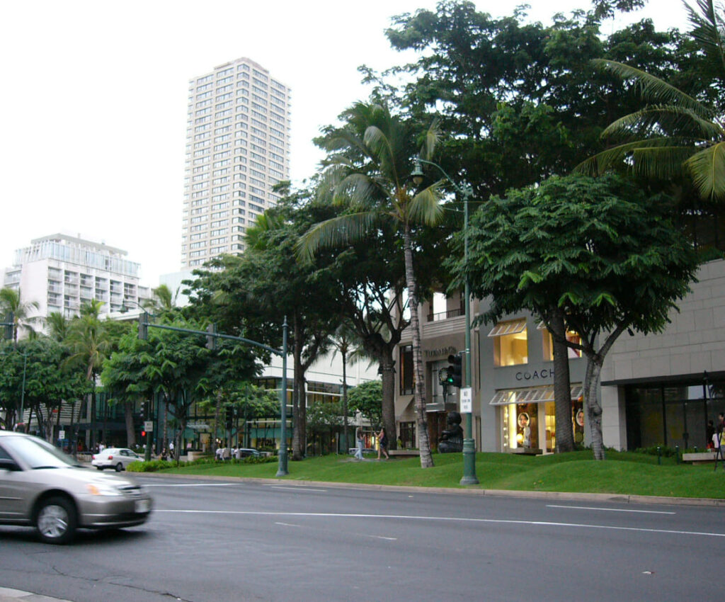 ハワイ・サラトガ通り1